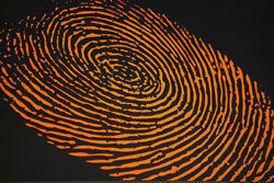 fingerprint-6805535